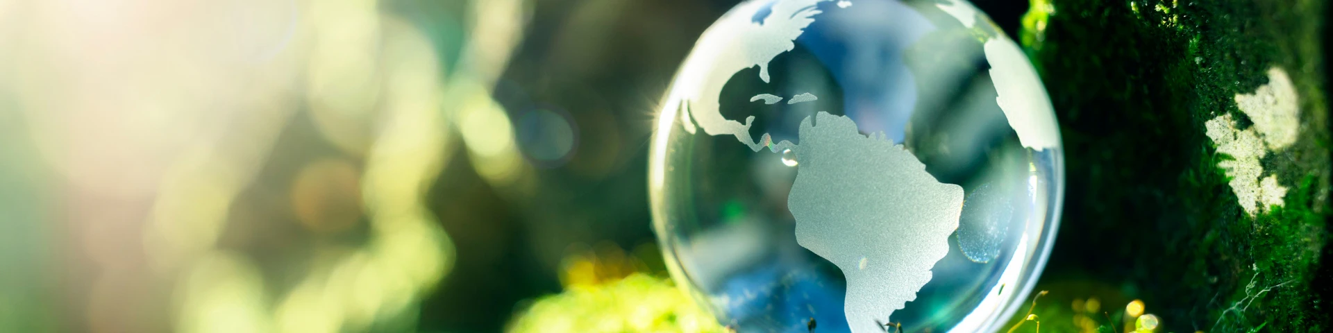 Sponsor highlighting sustainability at World Ethanol & Biofuels 2025, including renewable energy and carbon offset options.