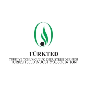 turkted