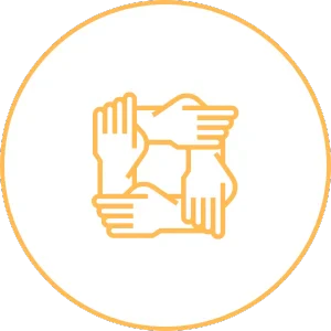 Expert Industry Consultants