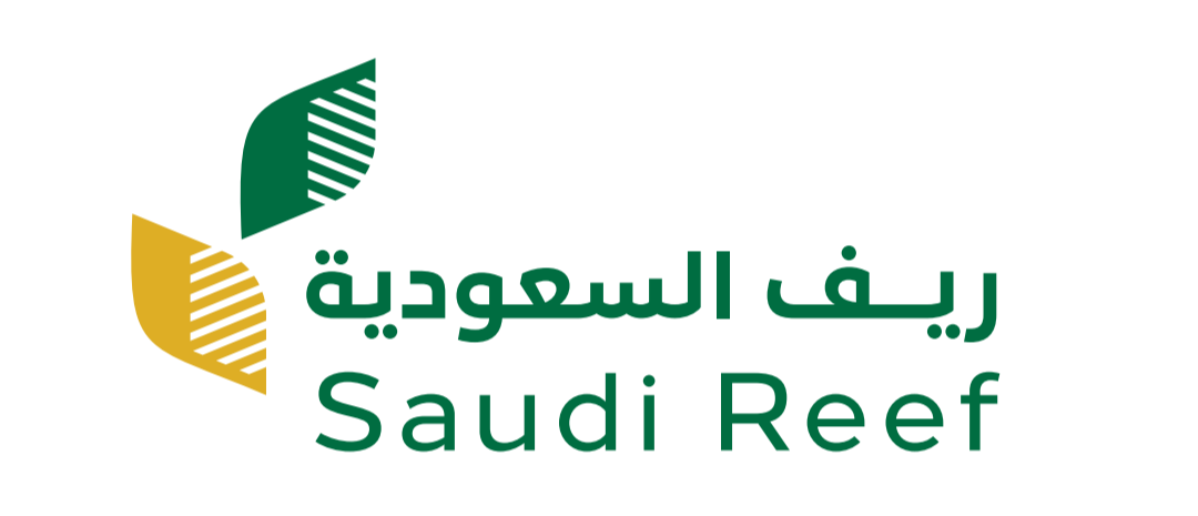 Reef Saudi