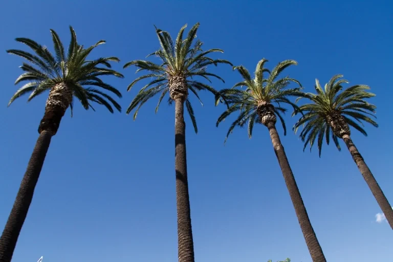 WELCOME TO ANAHEIM