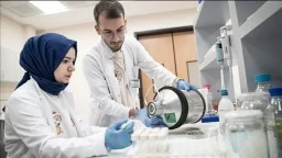 Seralarda Sürdürülebilirlik Neden Her Zamankinden Daha Önemli?