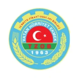 1963
