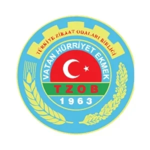 tzob