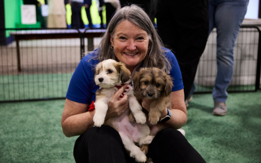 Attendee having fun with dogs
