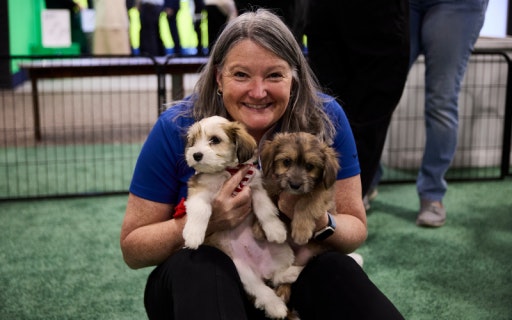Attendee having fun with dogs