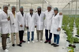Upscaling Hydroponics in India