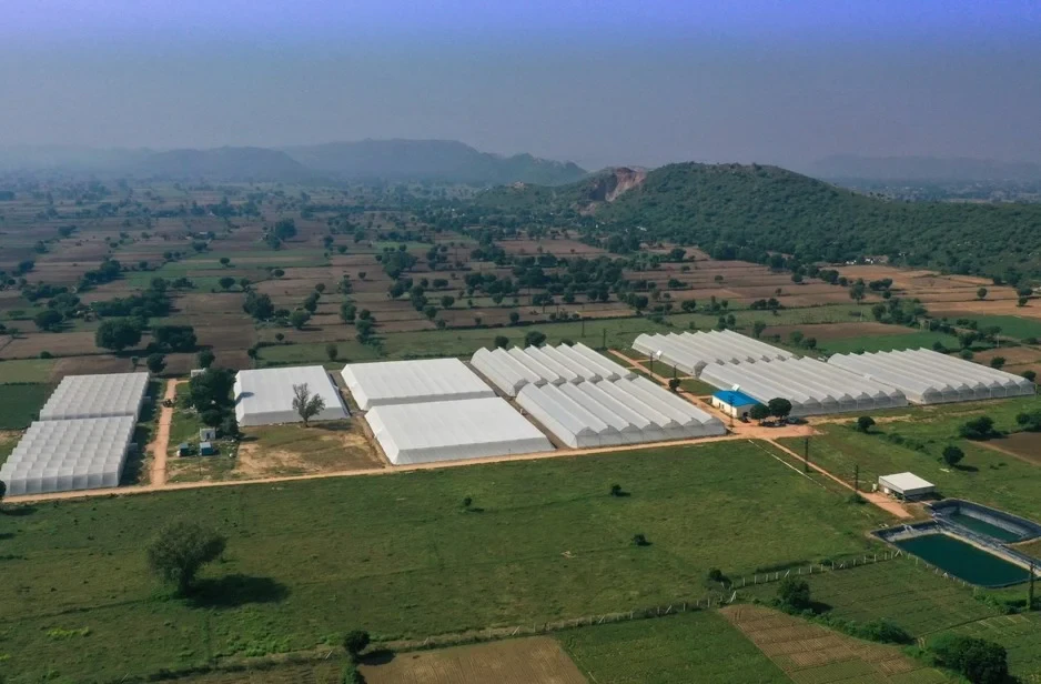 Hydroponic development in India