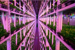 Sustainability Zone