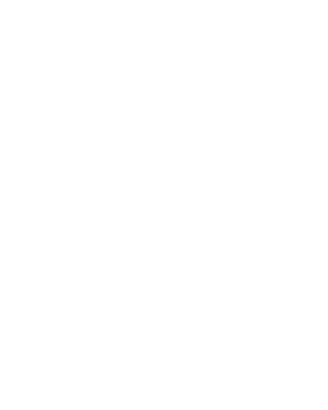 VidCon
