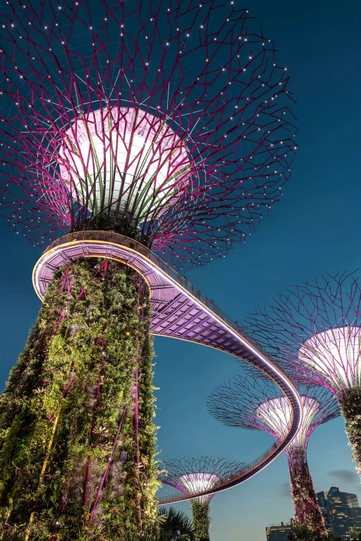 Download the Visit Singapore mobile app