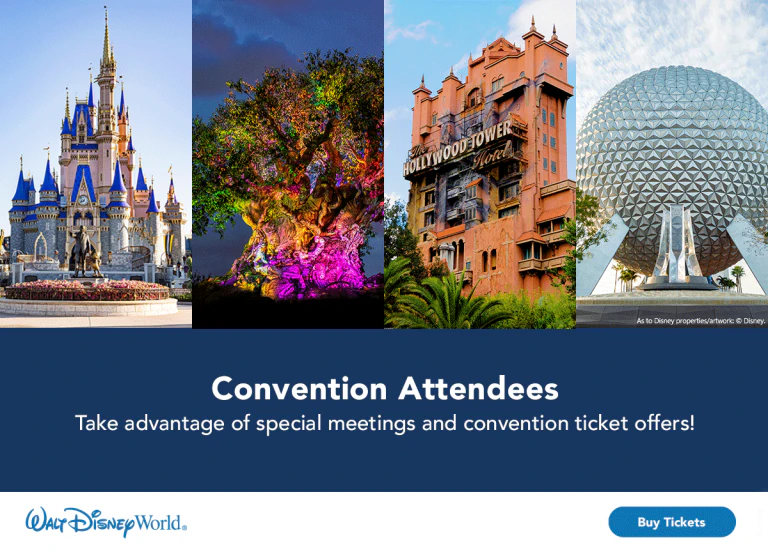 Enjoy Magical Discounts