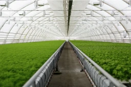 Sustainability Zone