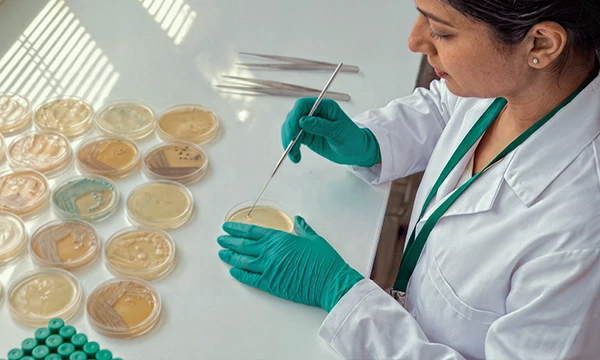 Clinical Microbiology