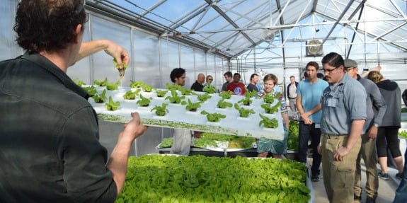 Nurseries importance and benefits