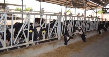 Egypt's agricultural exports